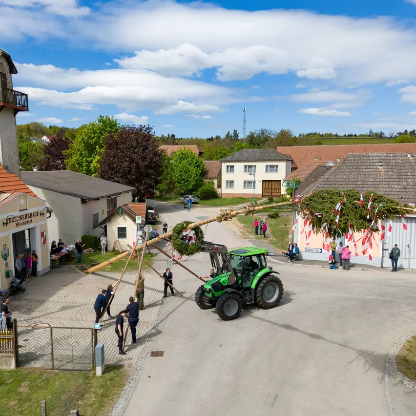 Ein Traktor zieht einen großen Baumstamm durch eine Dorfstraße. Die Menschen versammeln sich um ihn, einige halten Banner. Bäume und Häuser säumen die Straße.
