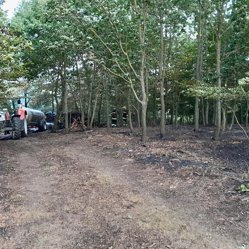 Ein Traktor steht in einer Waldlichtung mit einem Holzstapel in der Nähe. Zwei Feuerwehrleute stehen in der Nähe und tragen Schutzausrüstung. Der Waldboden ist mit Asche bedeckt.