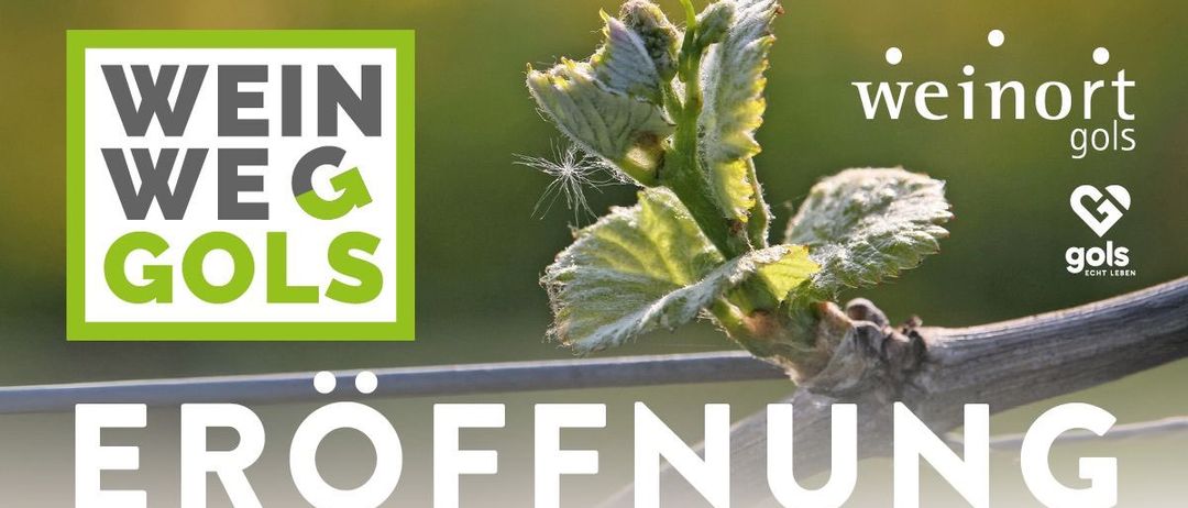 Nahaufnahme einer jungen Weinrebe mit grünen Blättern und einem kleinen Knospe, vor einem unscharfen Hintergrund mit einem grünen Textüberlager, der 'WEIN EG OLS' und 'ROFFNUN' lautet.