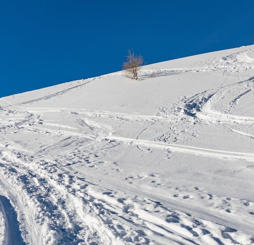 Ein verschneiter Hügel mit Reifenspuren und einem einsamen Baum, unter einem klaren blauen Himmel.