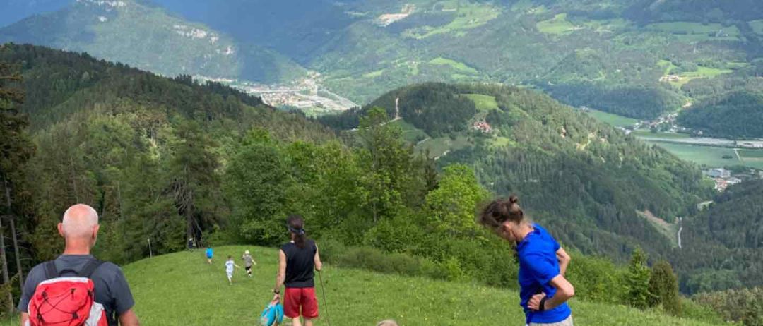 v1_migrated_image_50516713