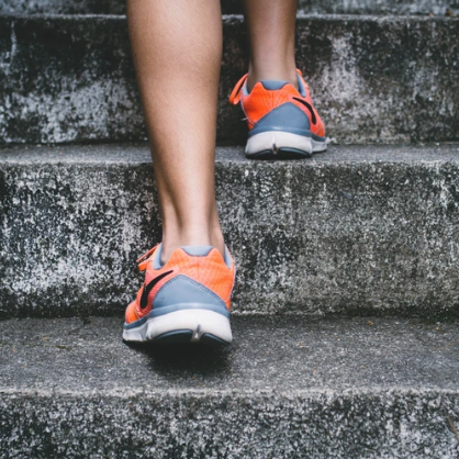 v1_migrated_image_19485858