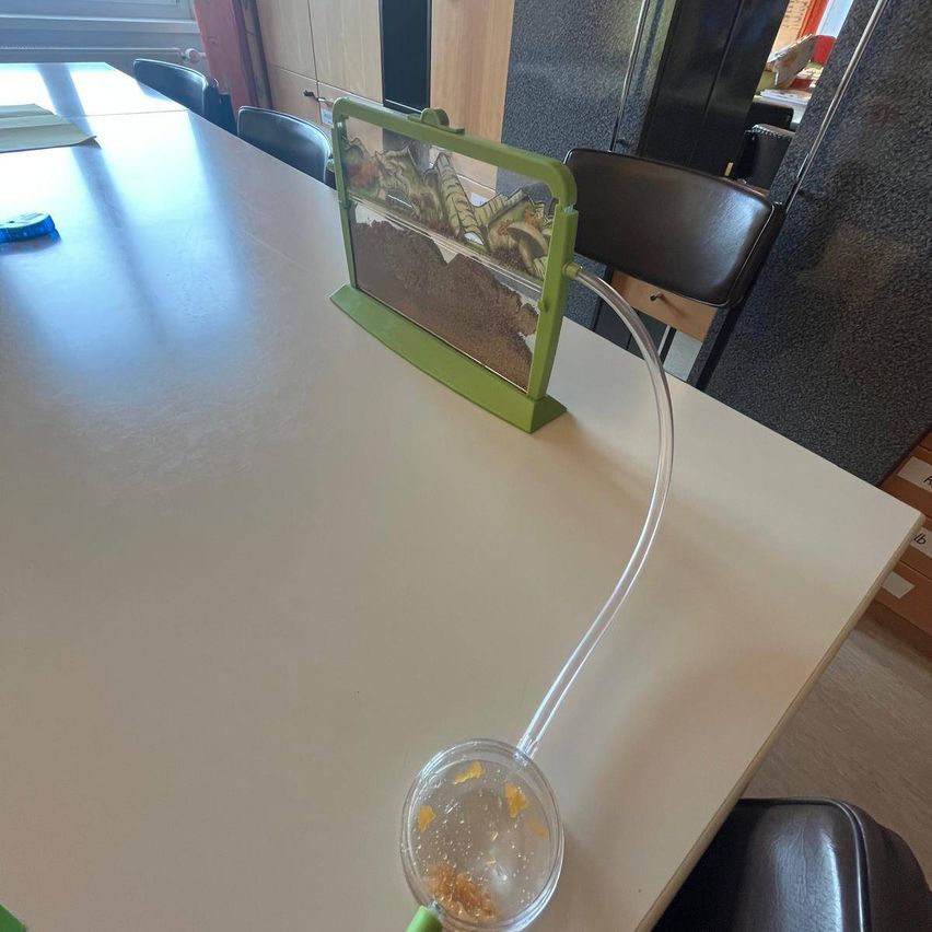Ein Tisch mit einem grünen Terrarium darauf. Das Terrarium hat einen Schlauch, der mit einer Schüssel mit Essen verbunden ist.