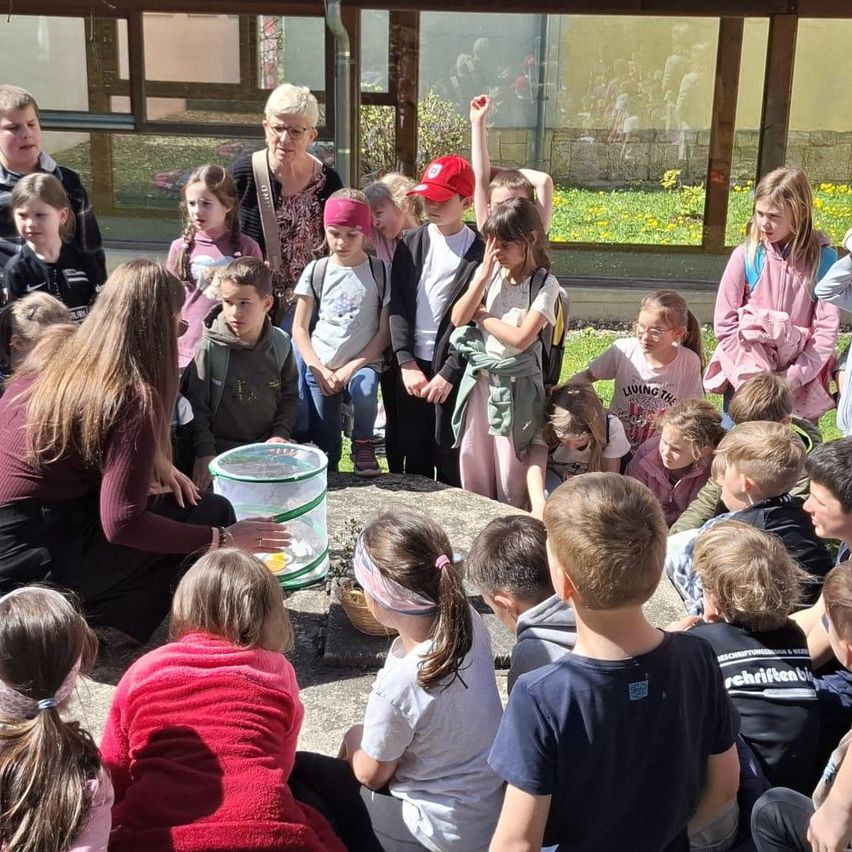 Eine Gruppe von Kindern und Erwachsenen versammelt sich um einen Tisch mit einem Insektenglas. Eine Frau mit Brille hält das Glas, während andere zuschauen. Einige Kinder tragen Brillen und Turnschuhe. Ein Gebäude und ein Grasbereich sind im Hintergrund.