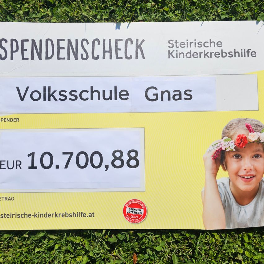 Ein weißer und gelber Gutschein für Volksschule Gnas mit dem Namen und dem Betrag von 10.700,88 Euro. Ein Mädchen mit Blumenkranz posiert für die Kamera.