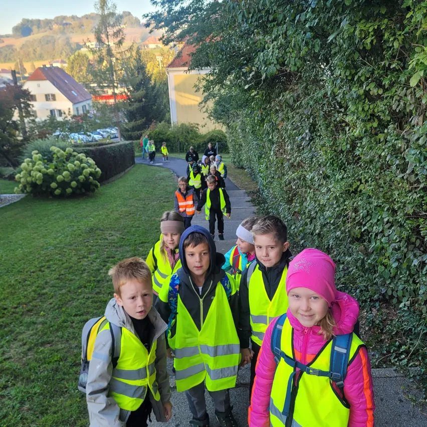 Eine Gruppe von Kindern in neongelben Westen geht auf einem Bürgersteig mit einer Hecke an der Seite.