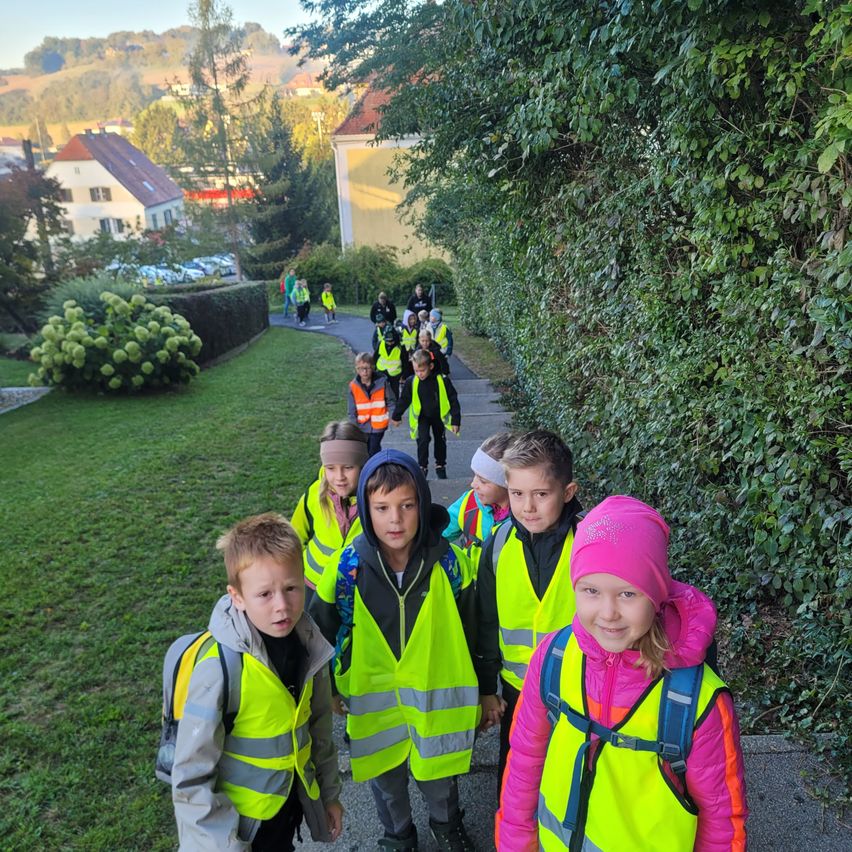 Eine Gruppe von Kindern in neongelben Westen geht auf einem Bürgersteig mit einer Hecke an der Seite.