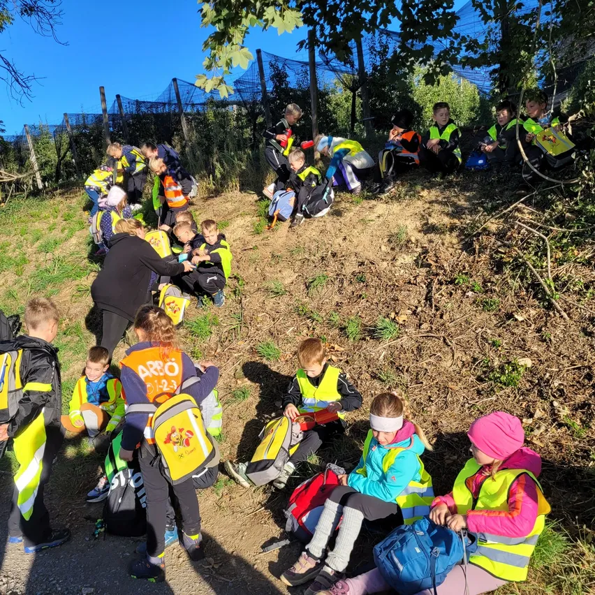 Eine Gruppe von Kindern in Sicherheitswesten versammelt sich auf einem Grashang, einige sitzen und andere stehen, mit Erwachsenen in der Nähe.