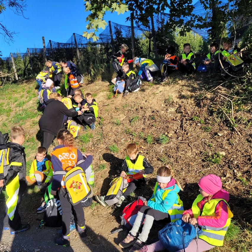 Eine Gruppe von Kindern in Sicherheitswesten versammelt sich auf einem Grashang, einige sitzen und andere stehen, mit Erwachsenen in der Nähe.