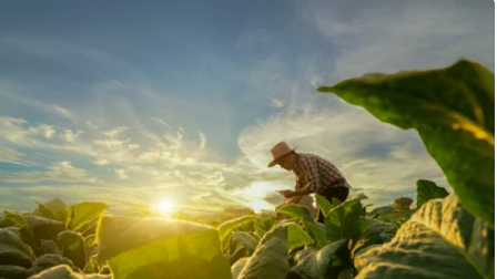 v1_migrated_image_76893751