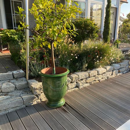 Bild enthält, Plant, Potted Plant, Interior Design, Porch, Planter, Pottery, Backyard, Deck, Wood, Garden