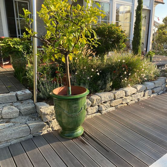 Bild enthält, Plant, Potted Plant, Interior Design, Porch, Planter, Pottery, Backyard, Deck, Wood, Garden
