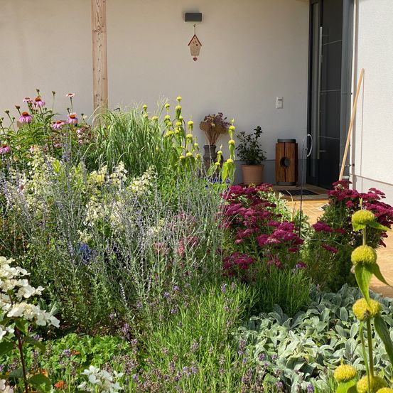 Bild enthält, Herbal, Herbs, Plant, Garden, Nature, Outdoors, Vegetation, Flower, Geranium, Potted Plant