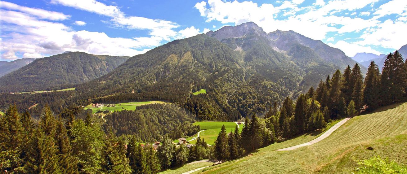 Bild enthält, Tree, Fir, Slope, Mountain Range, Nature, Outdoors, Scenery, Peak, Grass, Wilderness