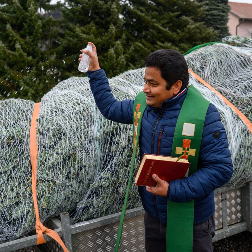 Ein Mann in einem blauen Mantel mit einer grünen Stola sprüht Wasser auf einen Haufen vernetzter Weihnachtsbäume.