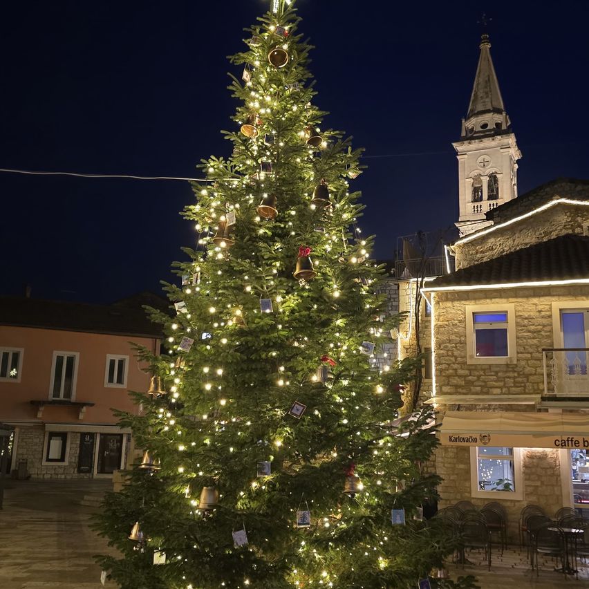 Ein großer geschmückter Weihnachtsbaum, beleuchtet von Lampen, steht vor einem historischen Gebäude mit Glockenturm in der Nacht.