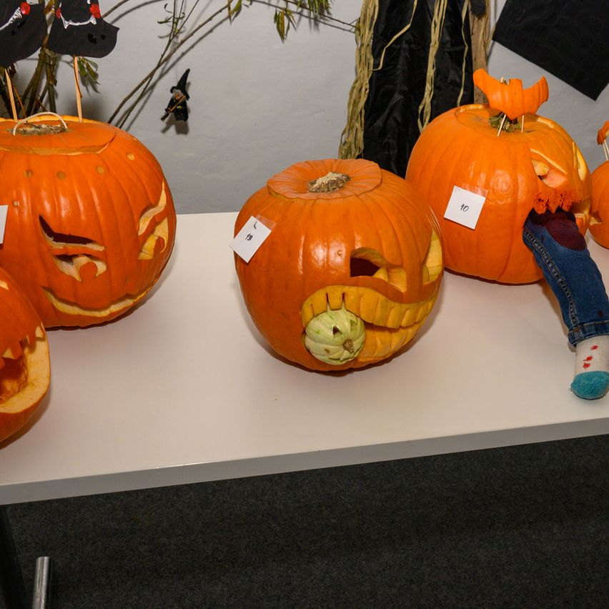 Vier geschnitzte Kürbisse auf einem Tisch, mit den Nummern 3, 9, 10 und einem Socken, der aus dem Mund des mittleren Kürbisses ragt. Dahinter eine weiße Wand und Halloween-Dekorationen.