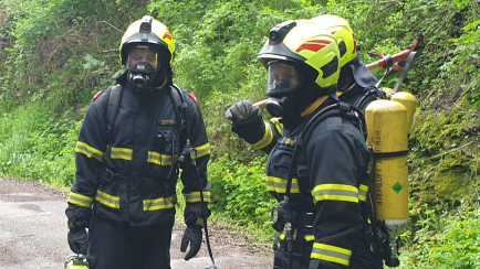 v1_migrated_image_3463889