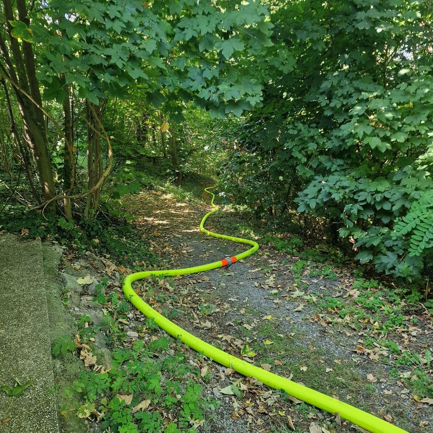 Ein grüner Schlauch ist auf einem Kiesweg aufgewickelt, umgeben von Bäumen und Pflanzen in einem bewaldeten Gebiet.