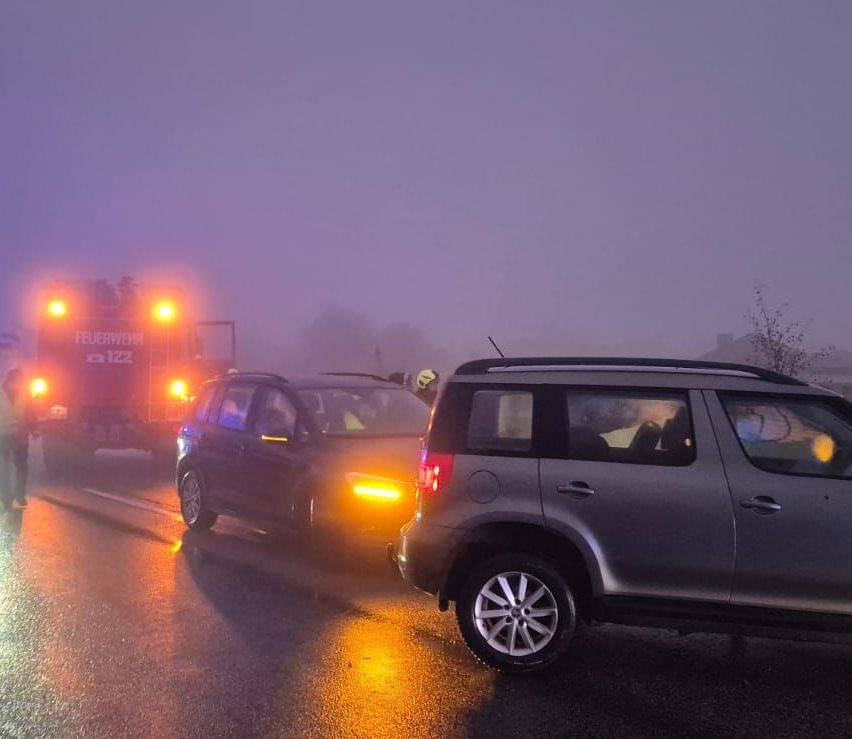 Einsatzfahrzeuge mit blinkenden Lichtern sind auf einer nebligen Straße geparkt. Zwei Autos sind ebenfalls anwesend, mit Menschen im Inneren.