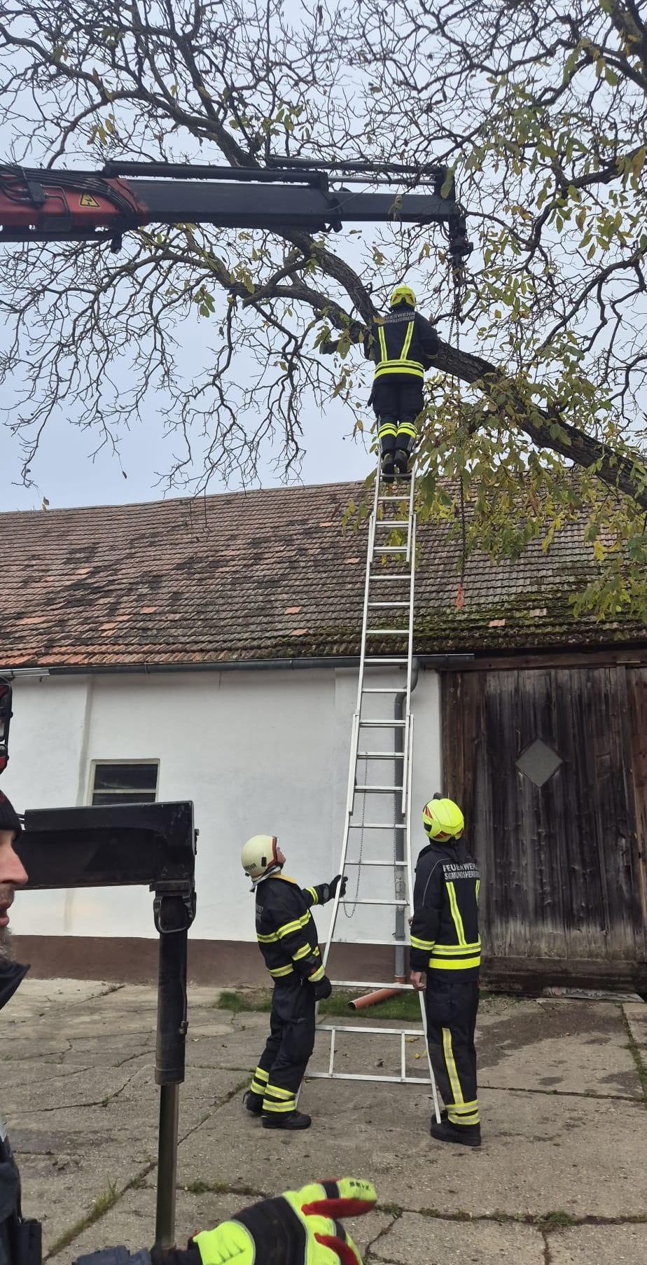 Feuerwehrleute klettern auf einer Leiter in der Nähe eines Gebäudes, einer von ihnen ist auf einem Ast.