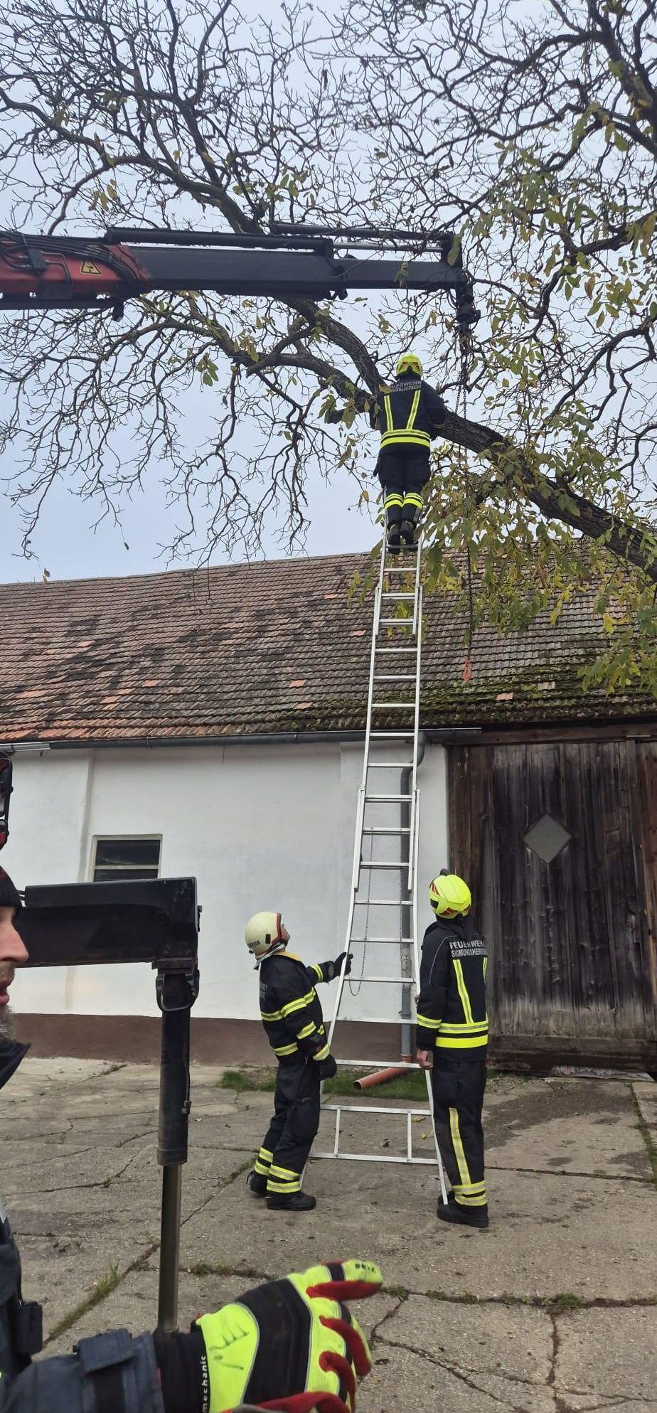 Feuerwehrleute klettern auf einer Leiter in der Nähe eines Gebäudes, einer von ihnen ist auf einem Ast.