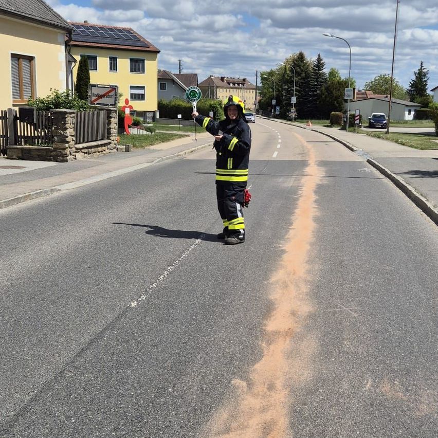 Ein Feuerwehrmann steht auf einer leeren Straße, hält ein Schild und zeigt nach vorne. Auf beiden Seiten der Straße stehen Häuser und Bäume.