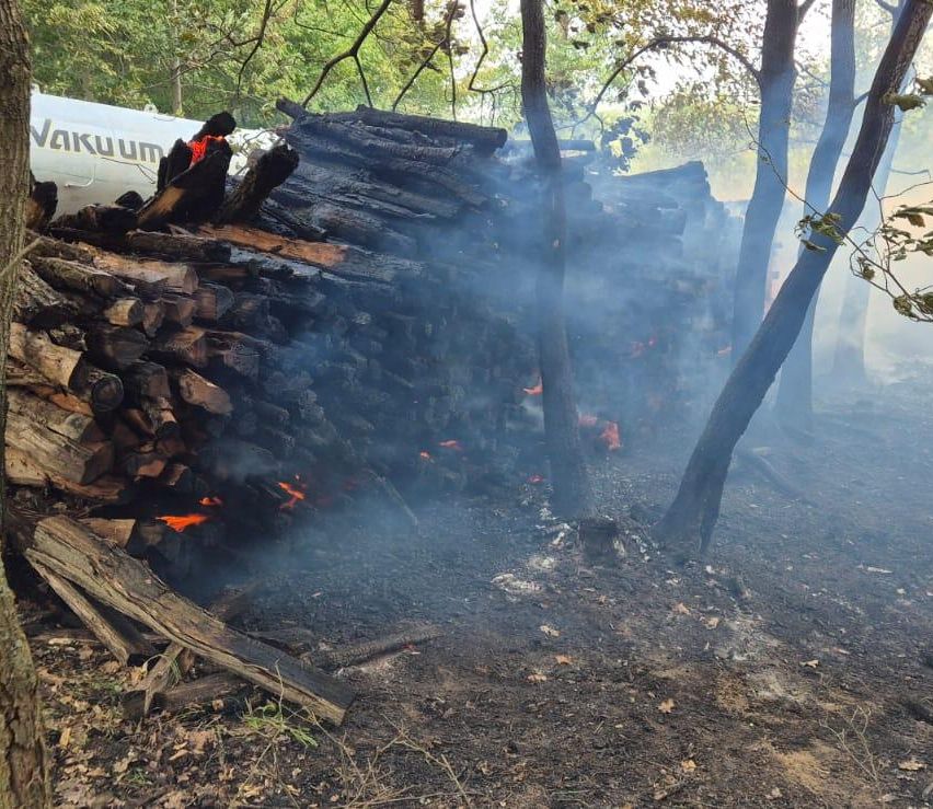 Ein Haufen verkohltes Holz in einem Waldgebiet mit sichtbarem Rauch. Bäume umgeben das Gebiet.