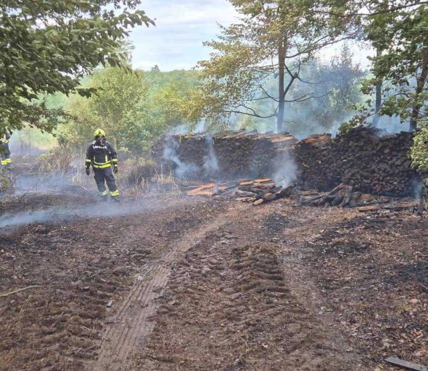 Ein Feuerwehrmann in voller Ausrüstung steht auf einem Feld mit einem Feuer im Hintergrund. Das Gebiet ist mit Bäumen und Holzstapel gefüllt.