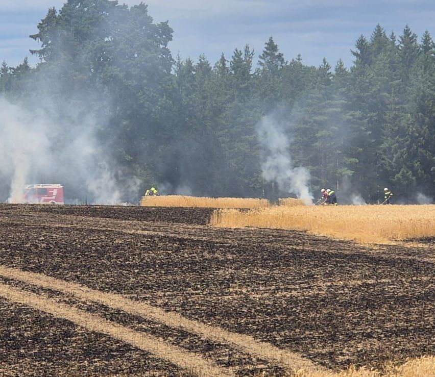 Ein Feuer in einem Weizenfeld, bei dem Feuerwehrleute daran arbeiten, es zu löschen. Bäume und Rauch sind im Hintergrund sichtbar.