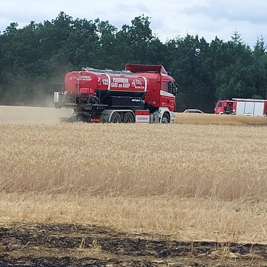 Ein roter Feuerwehrwagen fährt durch ein goldenes Weizenfeld mit einem Wald im Hintergrund.