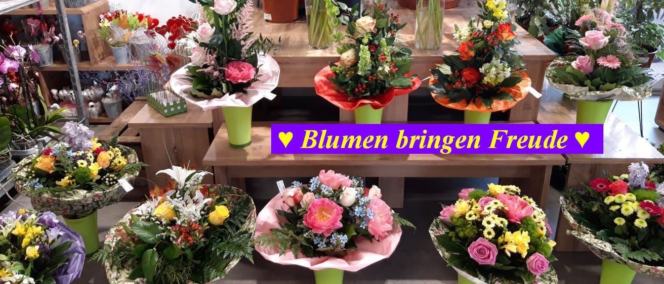 v1_migrated_image_15798152