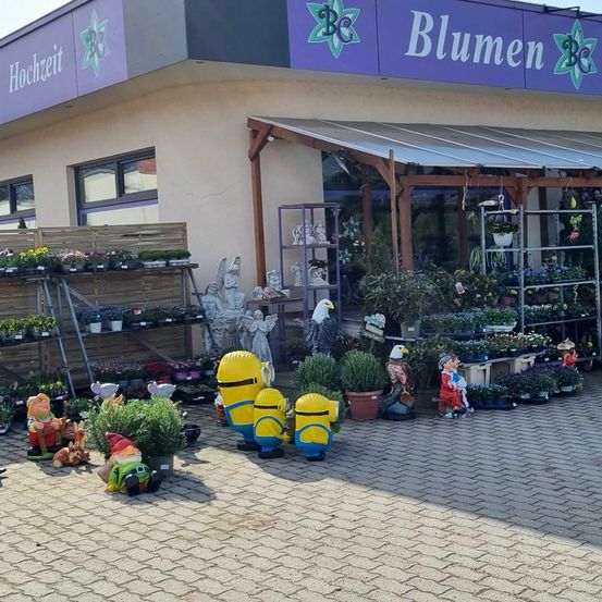 Handbag, Shop, Shopping Mall, Plant, Person, Shoe, People, Market, Hat, Outdoors
