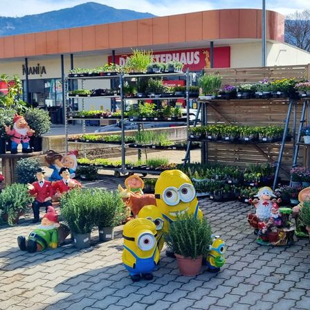 Plant, Potted Plant, Nature, Outdoors, Park, Person, Bird, City, Market, Car