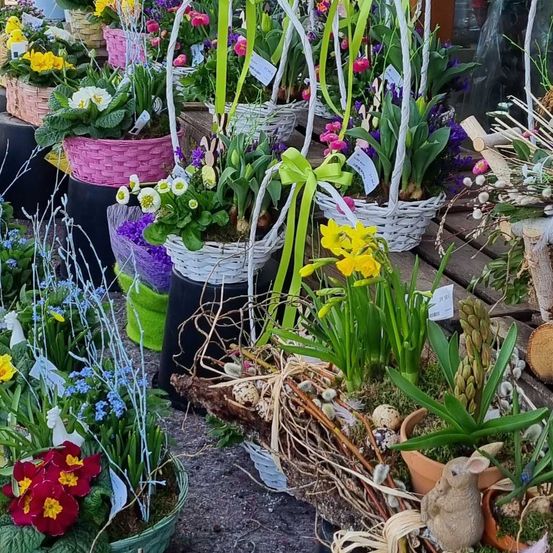 Garden, Nature, Outdoors, Plant, Potted Plant, Gardening, Flower