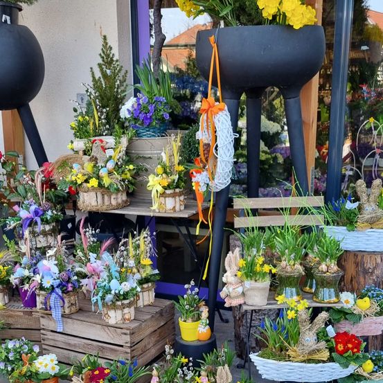 Plant, Potted Plant, Flower, Flower Arrangement