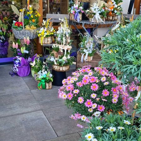 Potted Plant, Herbal, Flower, Flower Arrangement, Flower Bouquet, Daisy, Petal, Planter, Purple, Garden