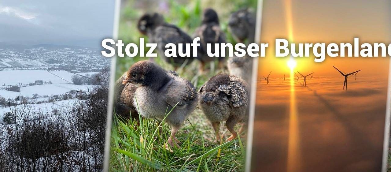 v1_migrated_image_47223377