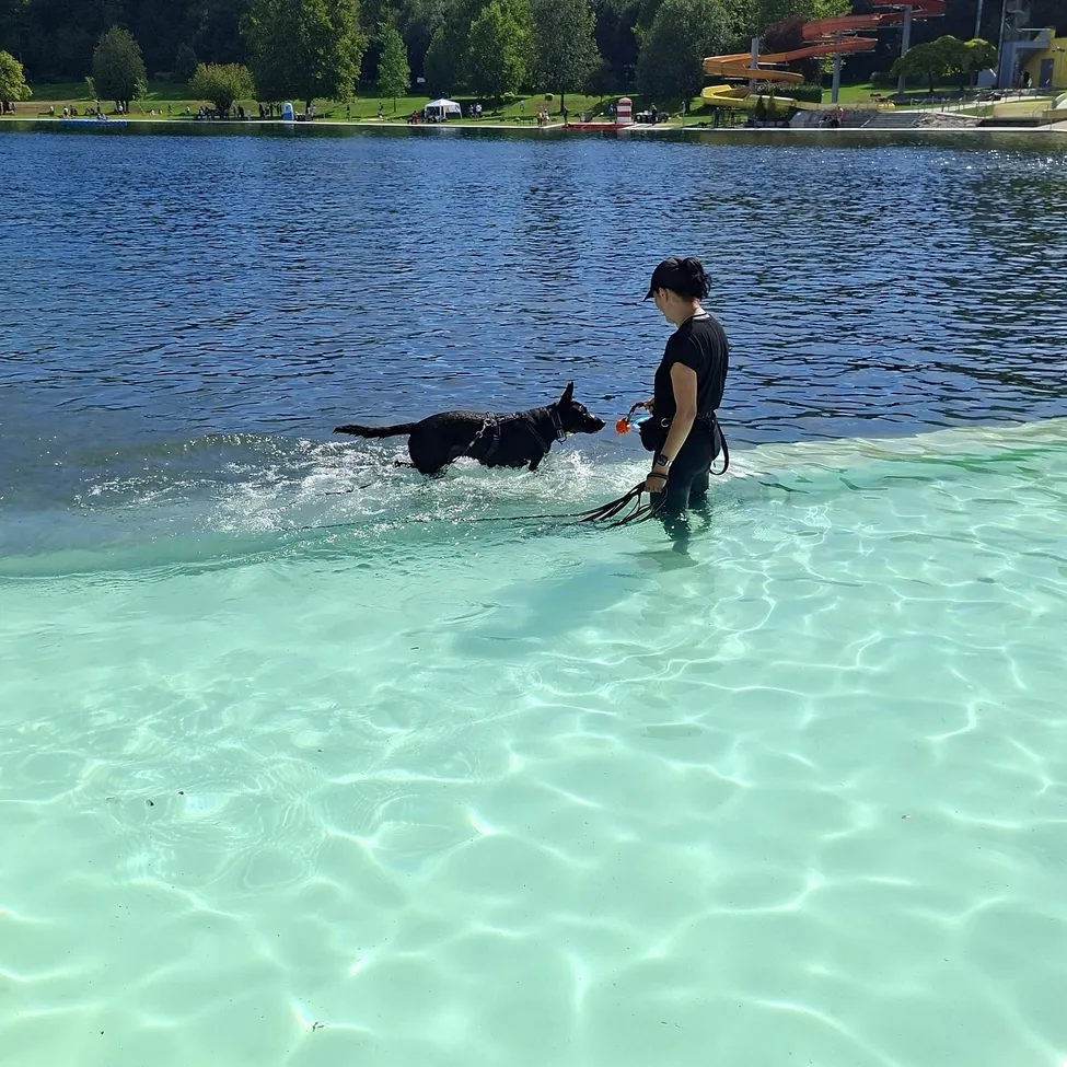 Eine Frau in einem schwarzen Shirt führt ihren schwarzen Hund in einem See mit klarem Wasser.