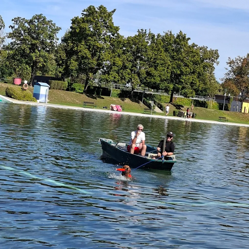 Zwei Personen in einem kleinen Boot auf einem See mit einem schwimmenden Hund in der Nähe. Bäume und ein Gebäude im Hintergrund.