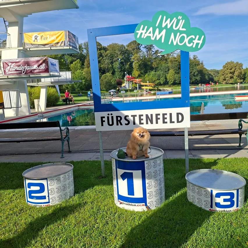 Ein Hund sitzt auf einem Fass mit der Nummer '1' in einem Park mit einem Pool und einem Schild mit der Aufschrift 'Fürstenfeld'.