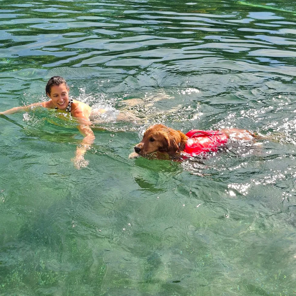 Eine Frau schwimmt in klarem Wasser, während ihr Hund in einem roten Schwimmweste in der Nähe schwimmt.