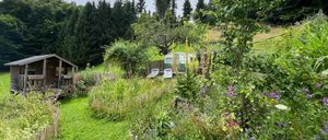 Bild enthält, Nature, Outdoors, Yard, Backyard, Garden, Picket Fence, Car, Vehicle, Interior Design, Person