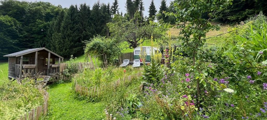 Bild enthält, Nature, Outdoors, Yard, Backyard, Garden, Picket Fence, Car, Vehicle, Interior Design, Person