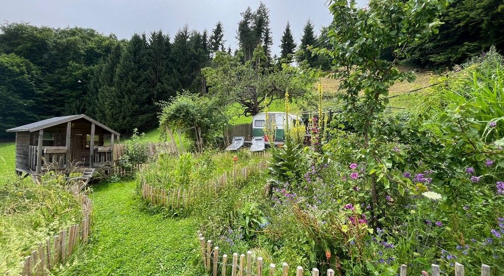 Bild enthält, Nature, Outdoors, Yard, Backyard, Garden, Picket Fence, Car, Vehicle, Interior Design, Person