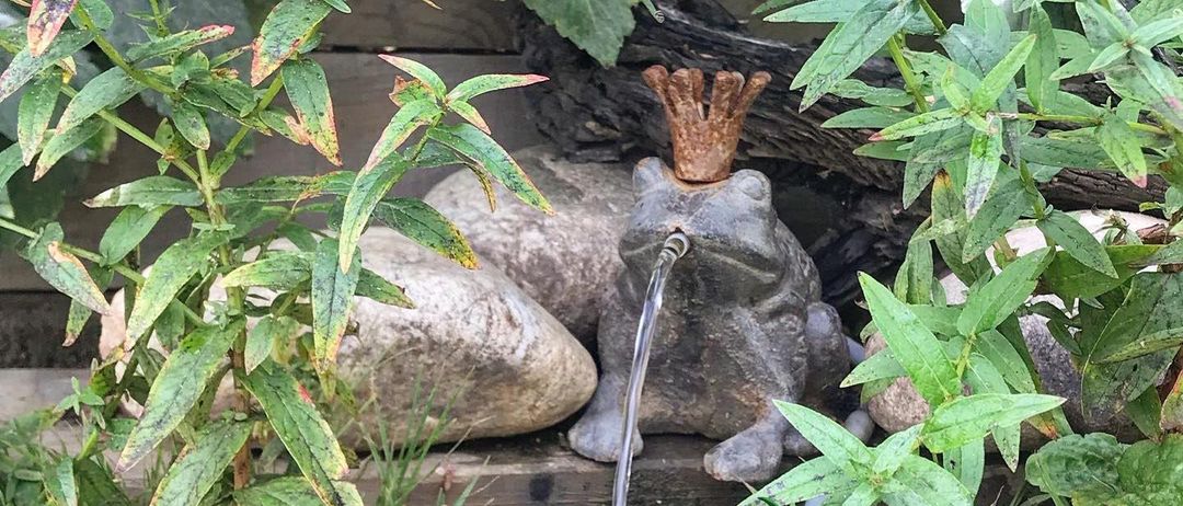 Bild enthält, Outdoors, Birdbath, Nature