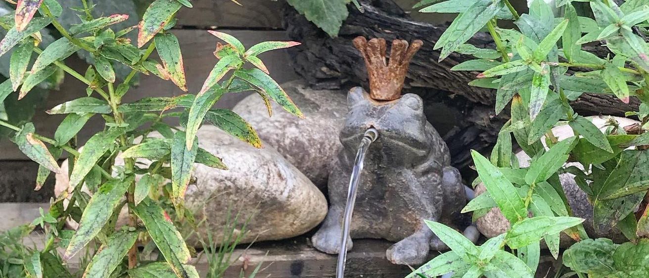 Bild enthält, Outdoors, Birdbath, Nature