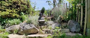 Bild enthält, Backyard, Nature, Outdoors, Yard, Person, Taking Cover, Garden, Rock, Grass, Vegetation