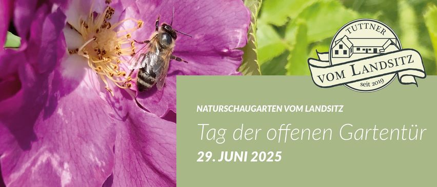 Eine Biene sitzt auf einer lila Blume mit grünen Blättern und bewirbt ein Naturgarten-Event am 29. Juni 2025.