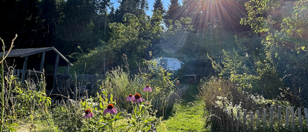 Ein üppiger Garten mit einem kleinen Haus und einer kuppelförmigen Struktur dahinter, unter einem strahlenden Sonnenschein. Der Weg führt zu einem Holzzaun.